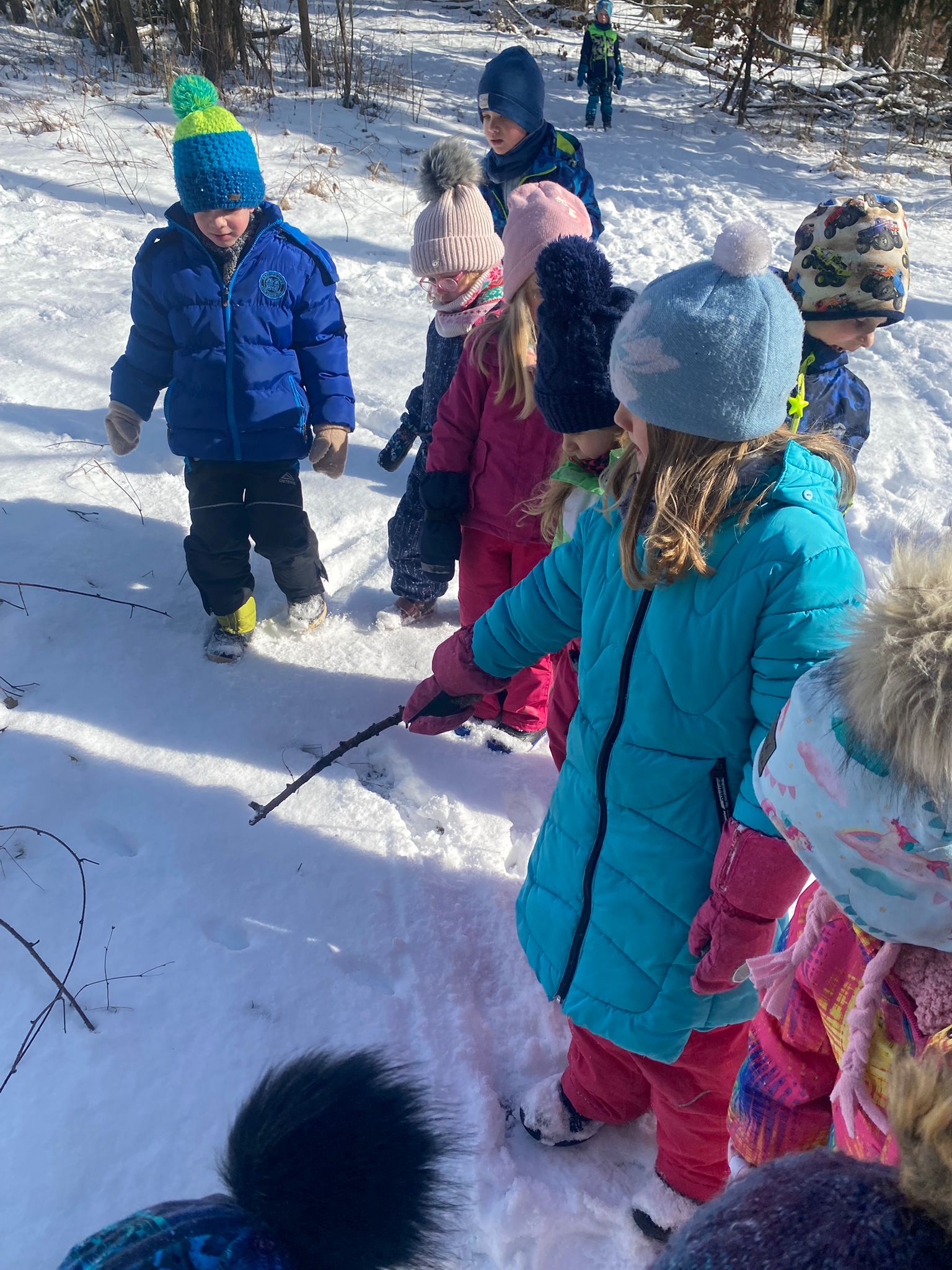 WhatsApp Image 2026 02 22 at 15.03.26