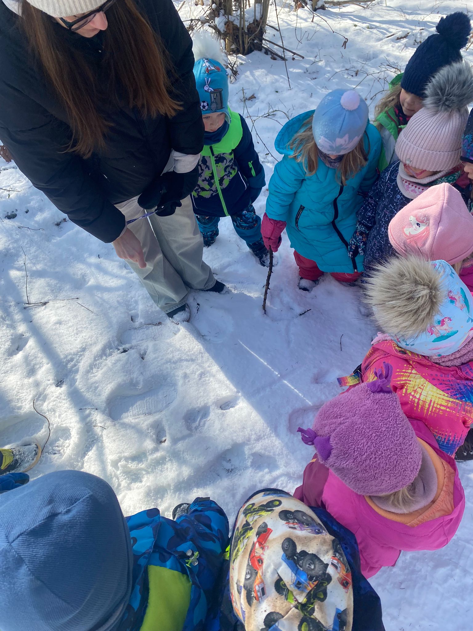 WhatsApp Image 2026 02 22 at 15.03.27 6